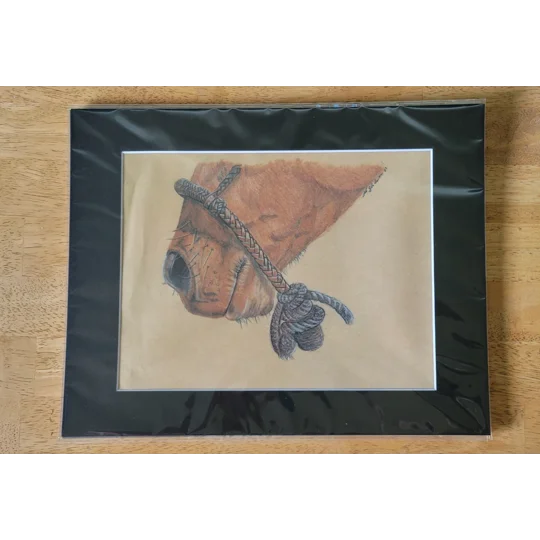 Matted print of "Muzzle" by Felicia C