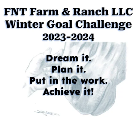 Goal challenge