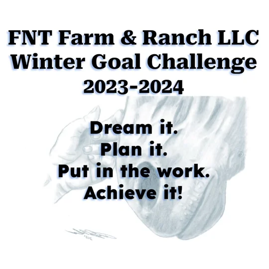 Goal challenge