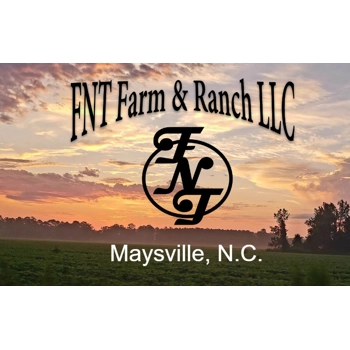 Open show Class Entries