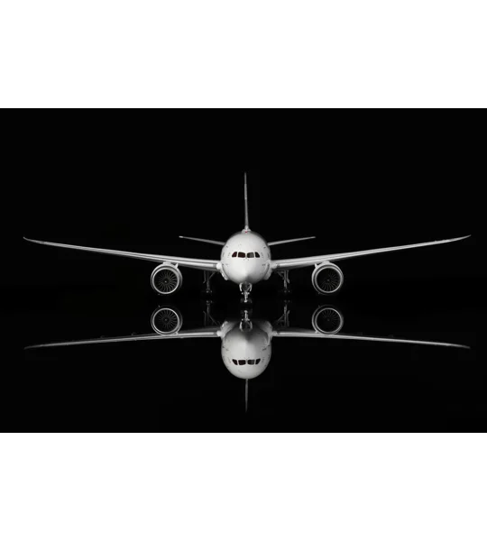 Thai Boeing 787-8 1:200