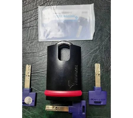 MUL-T-LOCK NE10H