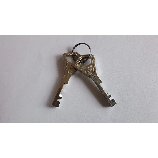 Abloy PL342C CLASSIC/ High Security Shrouded Padlock With 2 Keys