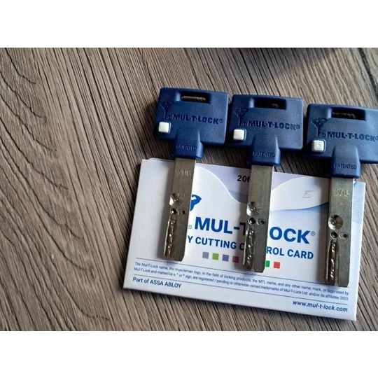 Mul-T-lock INTERACTIVE + Gear Lock With Cogwheel Z10