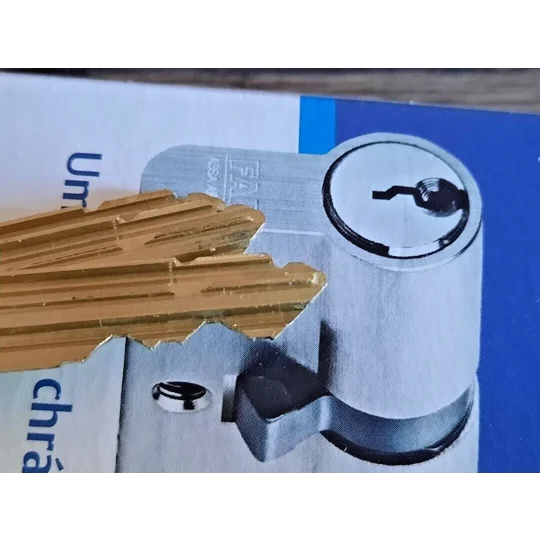 FAB 200 RSG High Security Cylinder lock