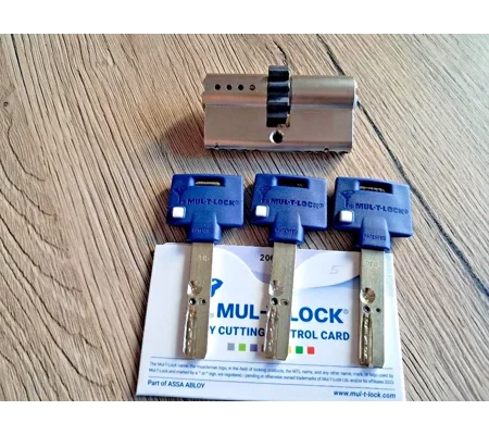 Mul-T-lock INTERACTIVE + Gear Lock With Cogwheel Z10