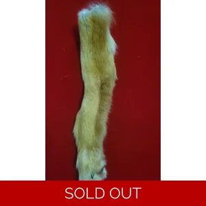 Coyote Leg Fur with Paw