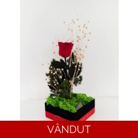 Cutie catifea cu trandafiri criogenati M58