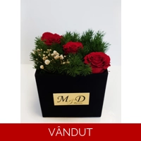 Cutie catifea cu trandafiri criogenati M33