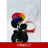 Trandafir etern rainbow M26