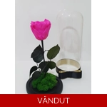 Trandafir etern roz fucsia M60