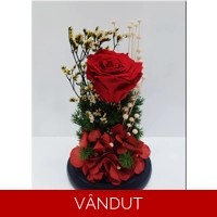 Cupola mix plante criogenate M35