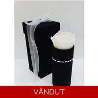 Cutie catifea cu trandafir criogenat M36