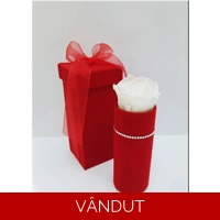 Cutie catifea cu trandafir criogenat M37