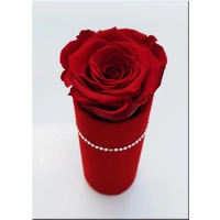 Cutie catifea cu trandafir criogenat M39