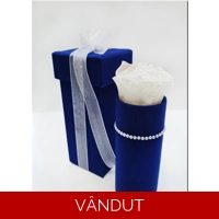 Cutie catifea cu trandafir criogenat M40