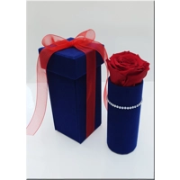 Cutie catifea cu trandafir criogenat M41