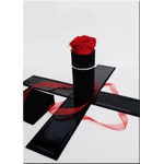 Cutie catifea cu trandafir c..