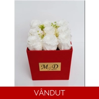 Cutie catifea cu trandafiri nemuritori M17