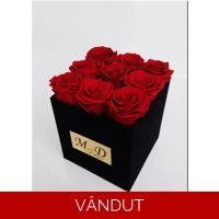 Cutie catifea cu trandafiri nemuritori M18