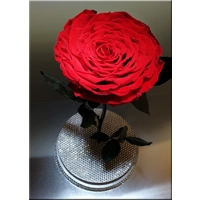 Trandafir criogenat cu cristale M11