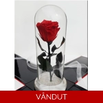 Trandafir criogenat cu crist..