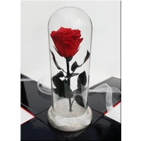 Trandafir criogenat cu cristale M10