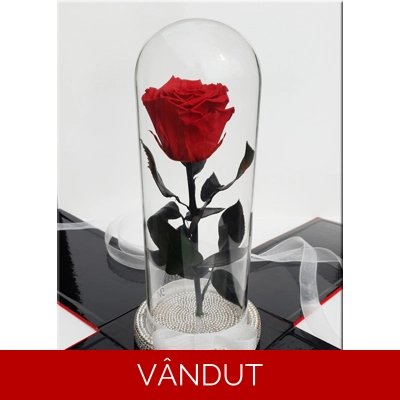 Trandafir criogenat cu cristale M10