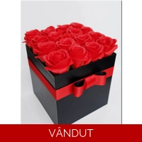 Cutie cu trandafiri de sapun M30