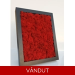 Tablou cu licheni 20x26cm M52