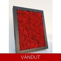 Tablou cu licheni 20x26cm M52