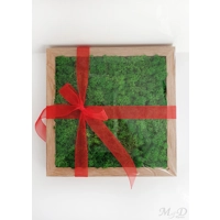 Tablou cu licheni 25x25cm M53