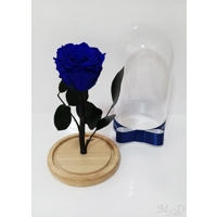 Trandafir criogenat albastru M1