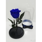 Trandafir criogenat albastru..