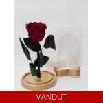 Trandafir criogenat roz inch..