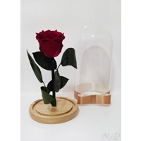 Trandafir criogenat roz inchis M5