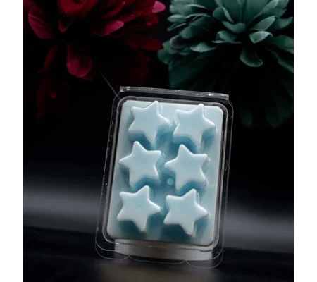Autumn/ winter fragrance wax melts