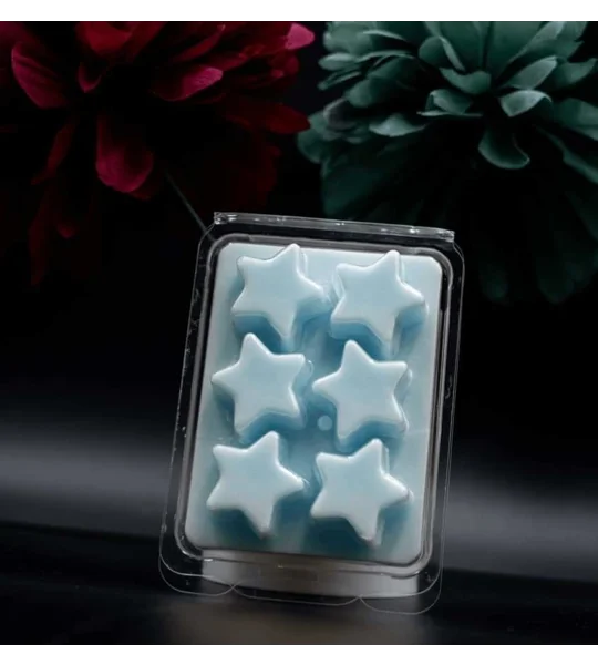 Autumn/ winter fragrance wax melts