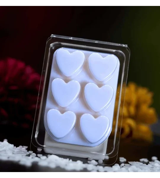 Autumn/ winter fragrance wax melts
