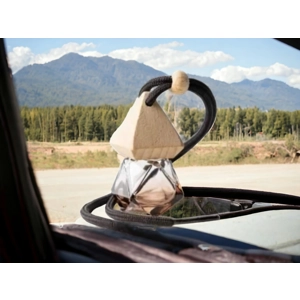 Floral scented triangle car fresheners