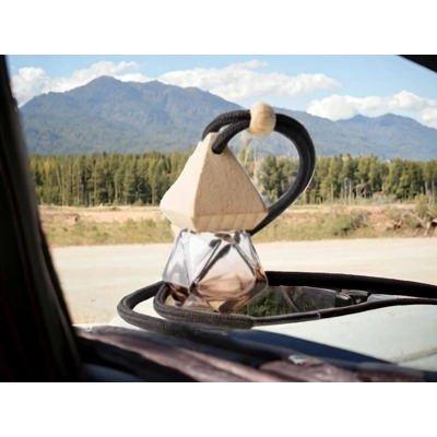 Floral scented triangle car fresheners Floral scented triangle car fresheners