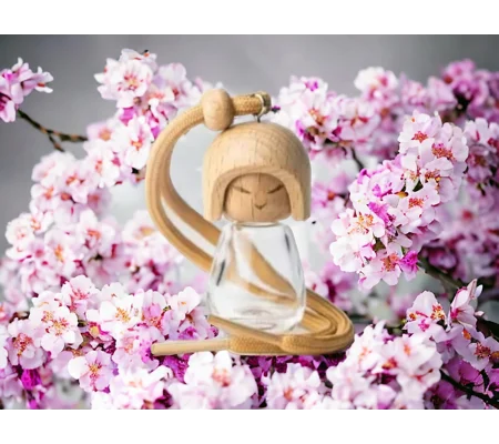 Popular scented Dolly car fresheners