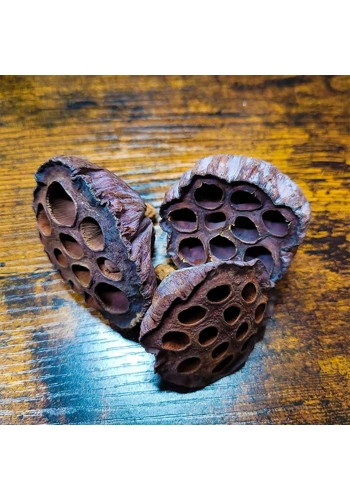 Lotus Pods (Pack of 10)