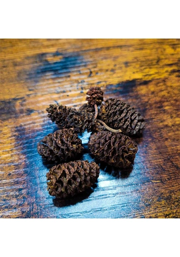 Alder Cones (Pack of 60)