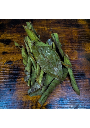 Guava Leaves (Pack of 15)