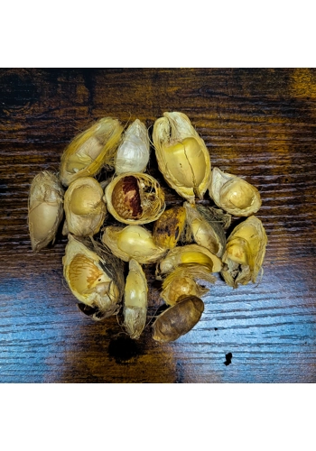 Betal Pods (Pack of 10)