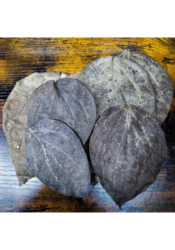 Black Pepper Leaves (Pack of 10)