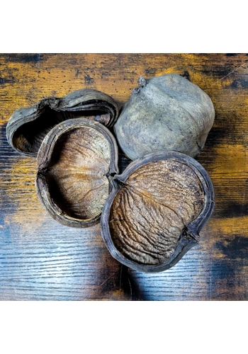 Sterculia Pods (Pack of..