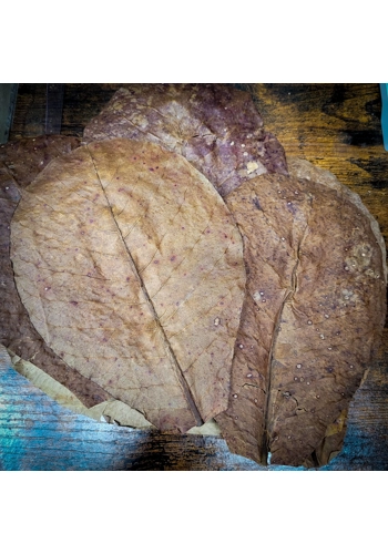 Indian Almond Leaf (Cat..