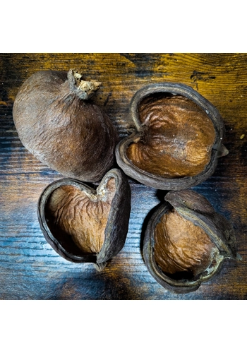 Badam Pods (Pack of 3)